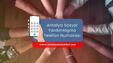 Antalya Social Assistance Phone Number