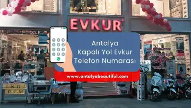 Evkur on Antalya Kapalı Yol: Contact Information