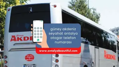 Güney Akdeniz Travel: Antalya Bus Terminal Contact Information