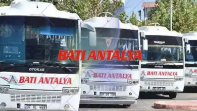 Antalya Elmalı Tour Phone Number